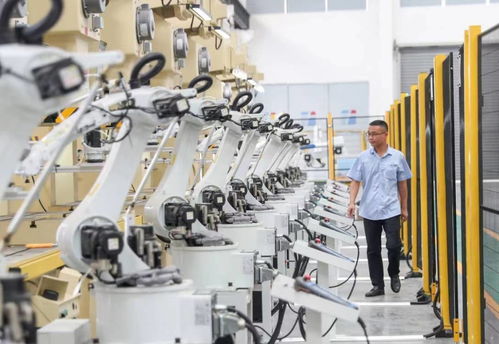 從黑與白到綠野新蹤 華鎣市因地制宜推進工業城、旅游市、物流港建設，實現高質量發展轉型突圍